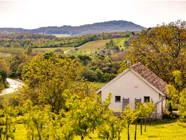 Sokak kedvence a Casa Christa Agriturismo - Exkluzív birtokká vált a balatoni szerelem présház