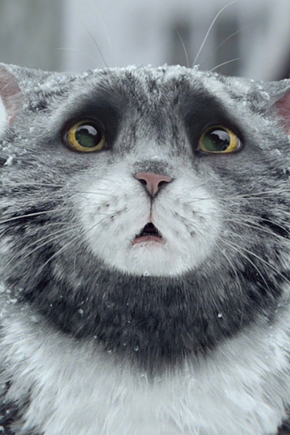 Ez 2015 legmeghatóbb karácsonyi filmje