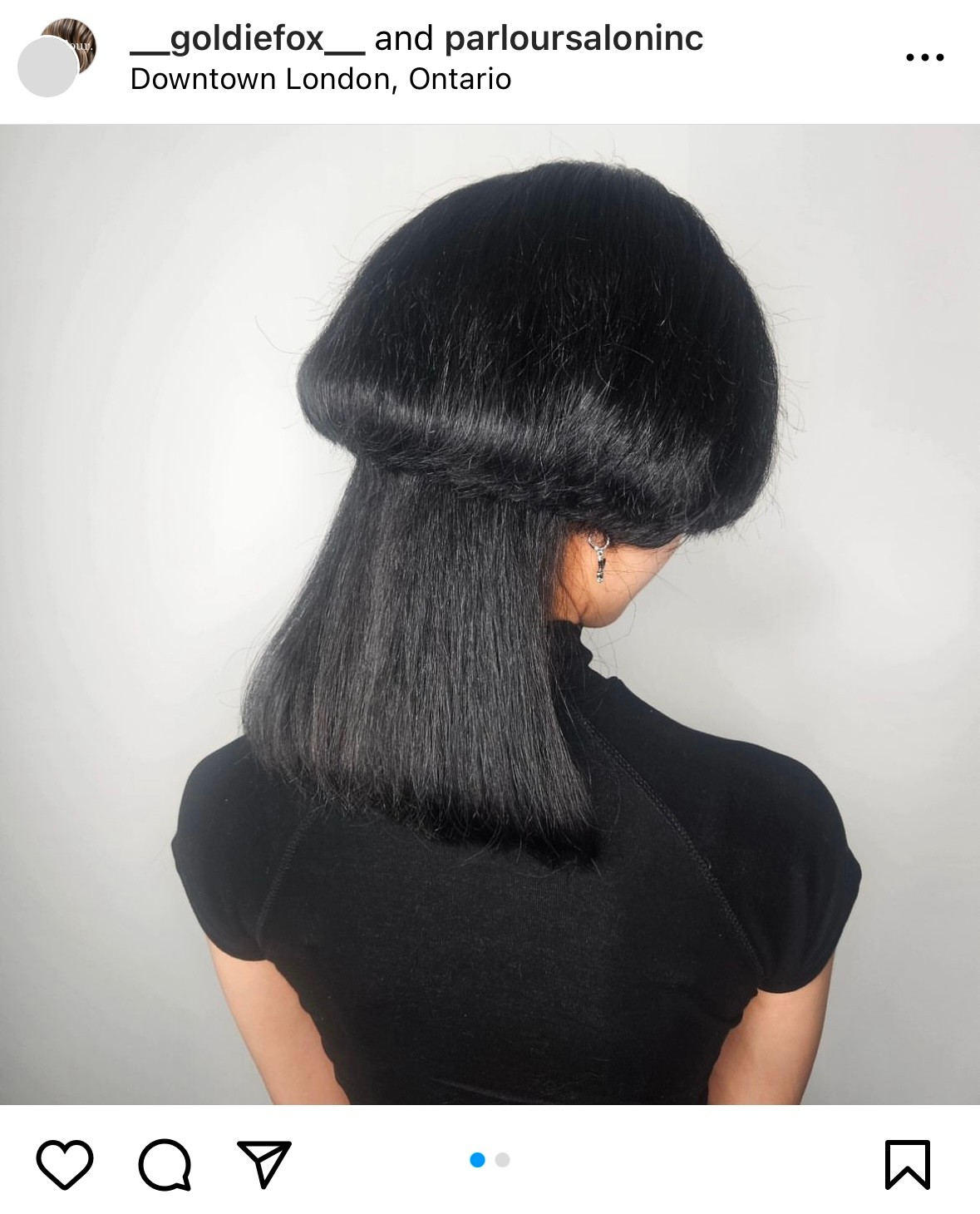 Instagram/__goldiefox__