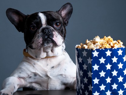 10 kutyás film, amit egyszerűen nem lehet megunni