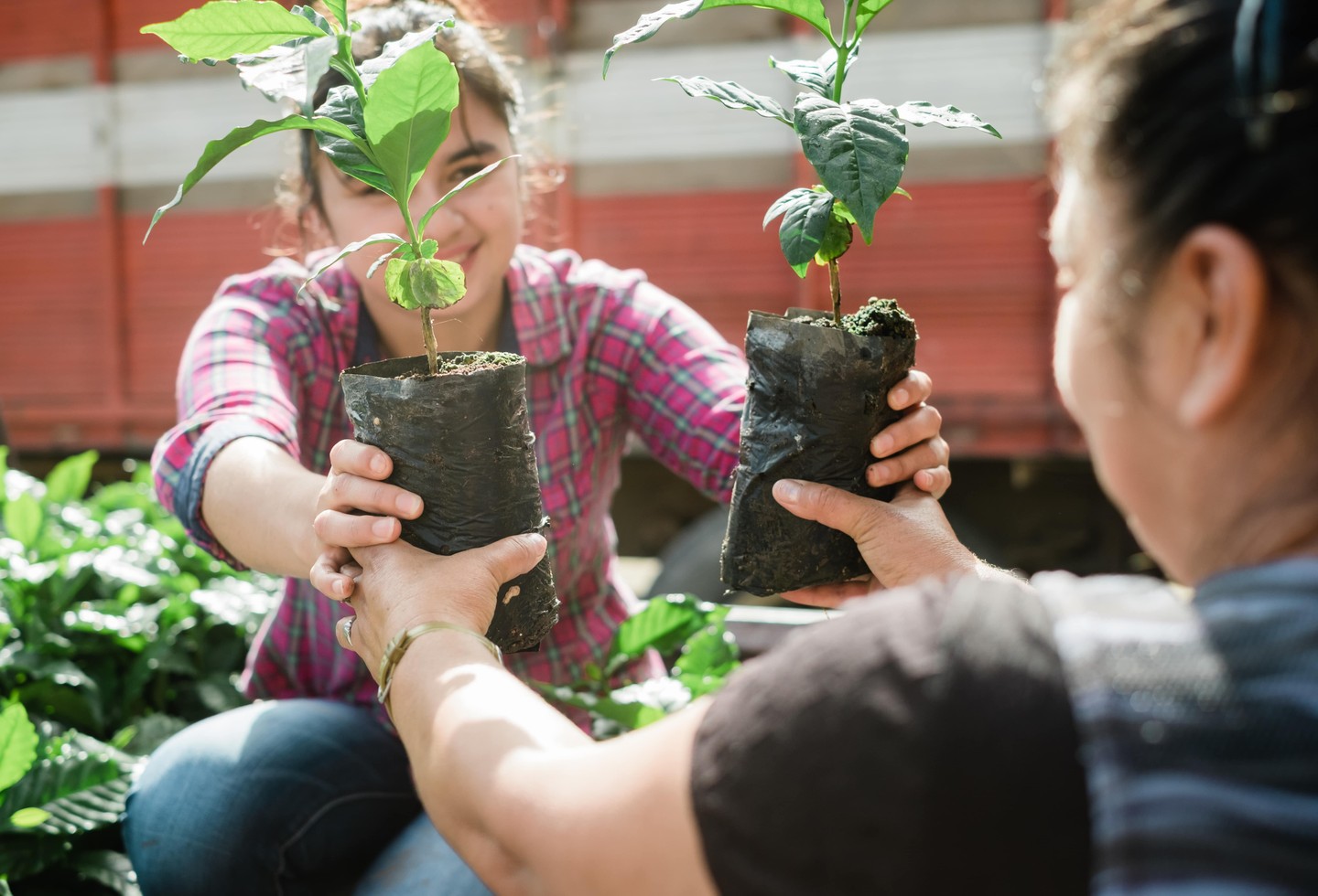 A Starbucks etikusan előállított kávét kínál, edukálja a fogyasztókat a környazettudatosság területén, és együttműködik a fenntarthatóságban élen járó vállalkozásokkal, szervezetekkel