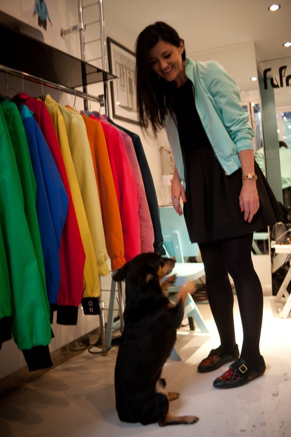 Róka járt a boltban