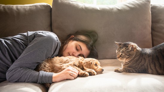 Kutyás vagy macskás ember vagy? A pszichológus szerint sokat elárul rólad