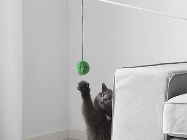 Az IKEA már háziállatoknak is készít bűtorokat! Nagyon cuki!