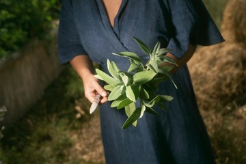 Orvosi zsálya, ami nagyon jó gyulladáscsökkentésre, fertőtlenítésre és emésztést segítő hatása is van