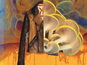 A biodizájnereké a jövő - az igazán környezettudatos divattervező már nem csak rajzol, hanem termeszt is