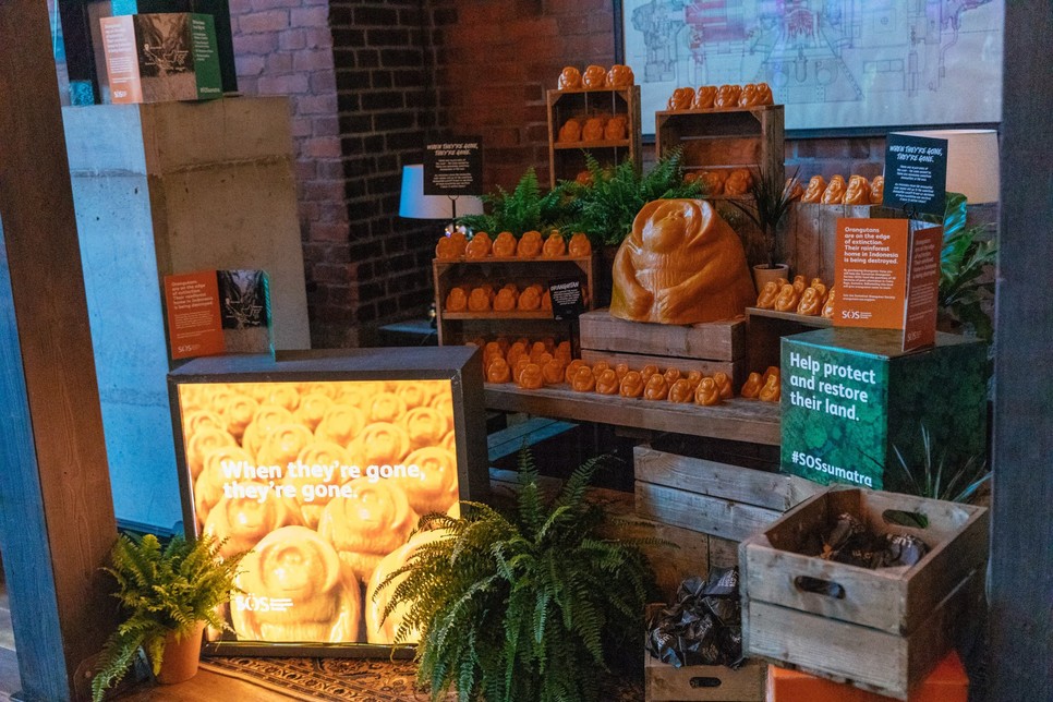 A műanyag csomagolás mentes termékeiről világszerte ismert már a Lush