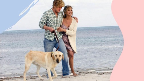 10 kutyás film, amit mindenkinek látnia kell