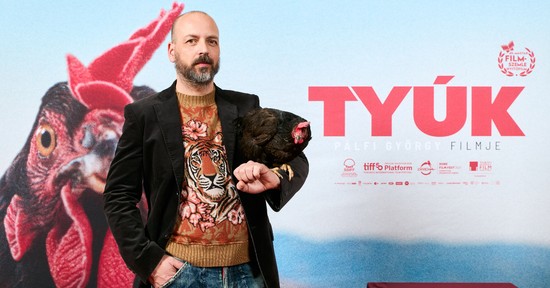 Pálfi György: „Azt szeretném, hogy felismerjék: nem vagyunk egyedül a Földön”