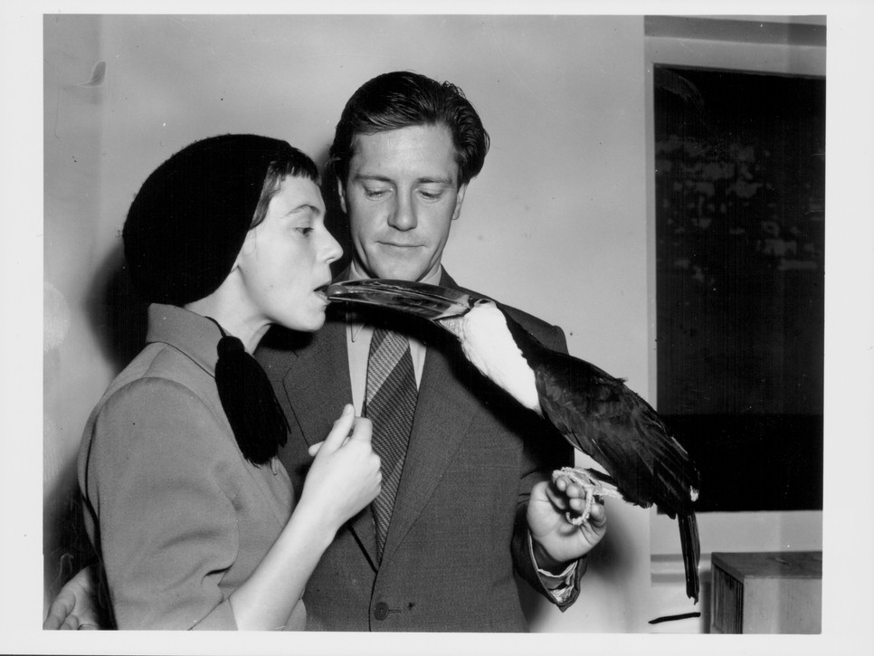  Gerald Durrell és felesége