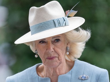 Kamilla királyné titkos üzenete mindent elárul arról, mit gondol András herceg visszalépéséről