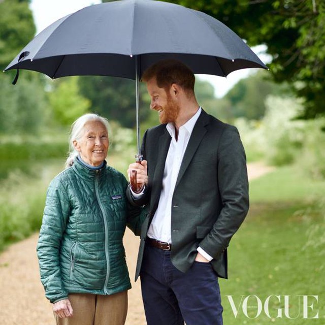 Jane Goodall Harry herceg Vogue