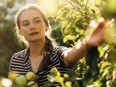 Ha ezeket a gyümölcsfákat elülteted, még a dédunokáid is enni fognak róla