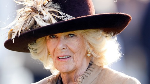 Szokatlan ruhában fotózták le Kamilla királynét, ritkán látni ennyire harsány színben