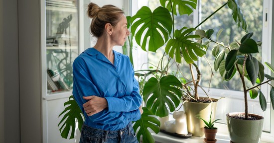 A legtöbben rossz helyre teszik a szobanövényeket, érdemes inkább ide költöztetni őket