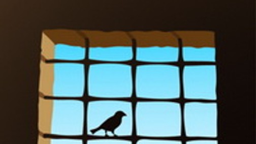 Egy rab ne viseljen márkás ruhákat?