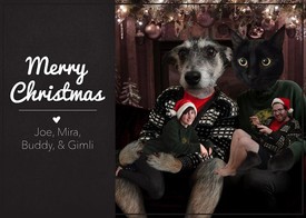 10 vicces, gáz és abszurd üdvözlőlap, amit látnod kell