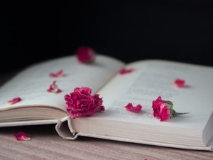 Irodalmi kvíz: 8 regény, aminek ismerned kell az íróját, ha jártál iskolába