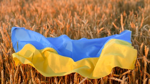 A HelpHub hosszútávú segítséget kínál a menekülteknek az új élethez