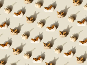 Hogyan használd az aggodalom köveket a stressz kezelésére?