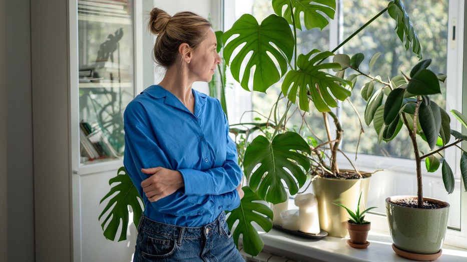 Mondjuk, hogyan találhatod meg minden zöld lakótársad számára a tökéletes fényviszonyokat