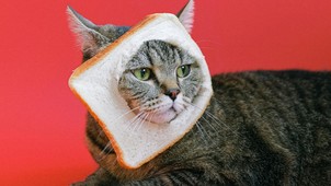 Hízást és hiánybetegségeket okozhat a gluténmentes diéta