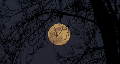 Telihold: Szex, kaland és rengeteg szenvedély - ezt hozza a Vadász Hold ma