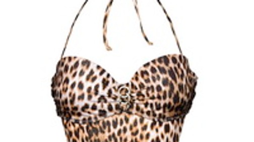 Irány a strand - állatmintában!