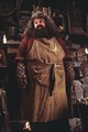 Robbie Coltrane – Hagrid. A szelíd óriást tökéletes beleéléssel alakította Robbie Coltrane, aki humorral és lélekkel töltötte meg a szerepet. Ő volt az egyetlen, akit J.K. Rowling már a kezdetektől Hagridként képzelt el.