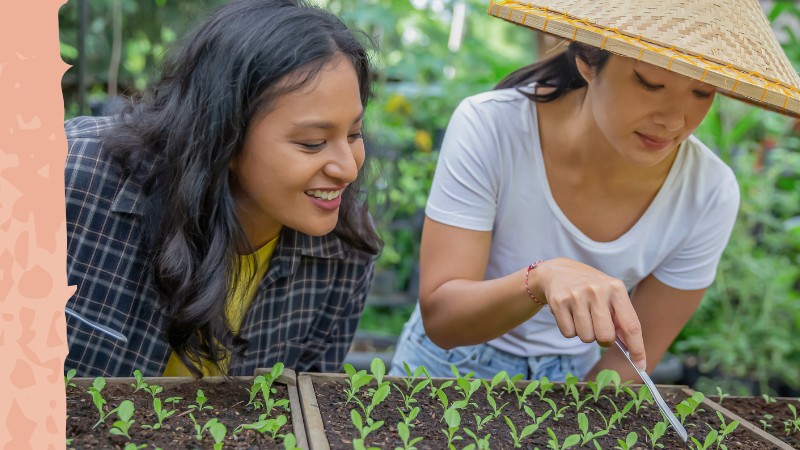 A természet jobb partner, mint rabszolga