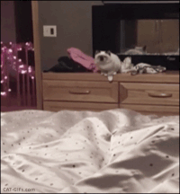 Ezért nagyon fontos, hogy minden nap beágyazz