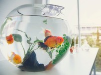 Meg fogsz lepődni: ennyit árthatsz a Földnek a hétköznapi szokásaiddal (x)