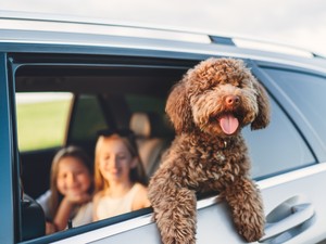 Brutális büntetésekre számíthatsz, ha erre a 3 dologra nem figyelsz, amikor autóval mész külföldre nyaralni