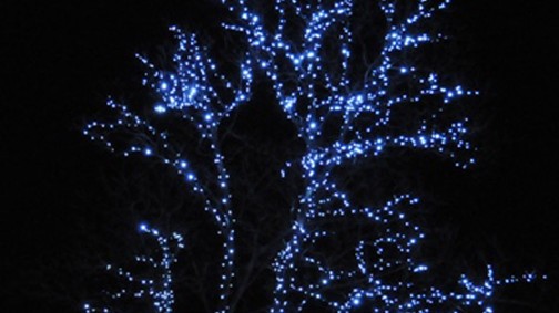 Balatoni borkarácsonyfa a Városligetben