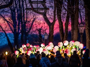 Felébred a szomszédban a fény: ilyen lesz idén a Zágrábi Fényfesztivál