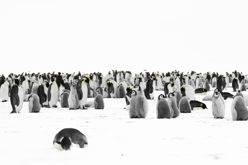 Jurányi Zsófia nagyon élvezte a természet közelségét és érintetlenségét az Antarktiszon töltött 14 hónap során