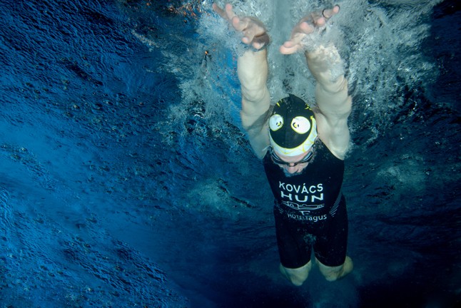 Csíz és víz- Csodás fotók a felszín alatt