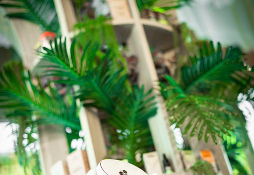 Cosmoprof Bologna 2025: Így formálja át a szépségipart a fenntarthatóság és tudatosság