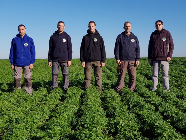 Igazi vitaminbomba, és bizony, itthon is terem: érdemes mákot fogyasztani