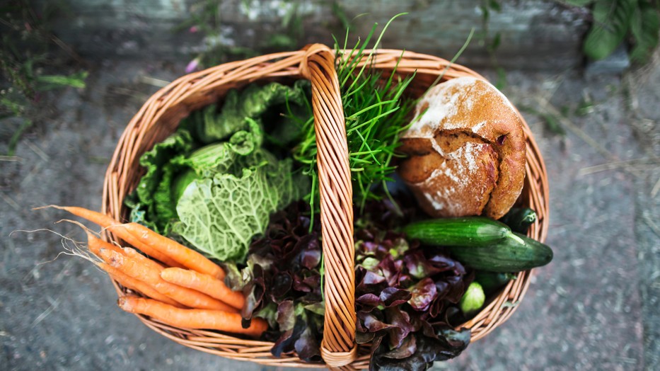 A MyFarm vállalkozás ma már hat családnak ad munkát, és a tervek szerint ezt hamarosan tízre bővítik