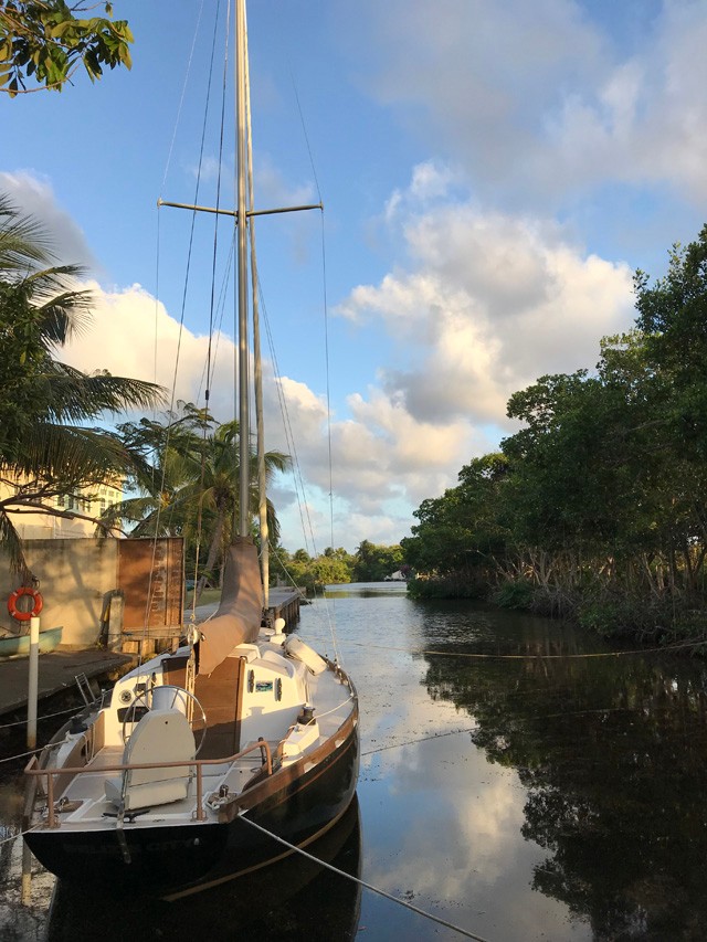 Élj bizalommal! És merj szeretni!