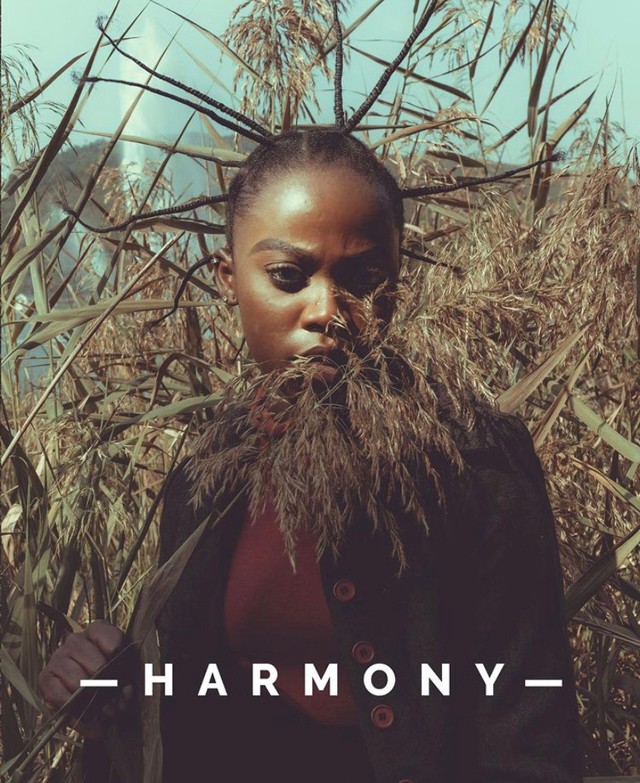 Mi jut eszedbe először, ha a családra gondolsz? Különböző személyeket kérdeztünk a világ különböző tájairól