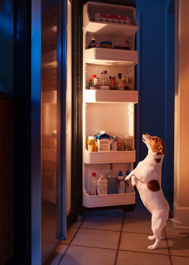 7 tipp, hogy rendezett legyen a hűtőszekrényed