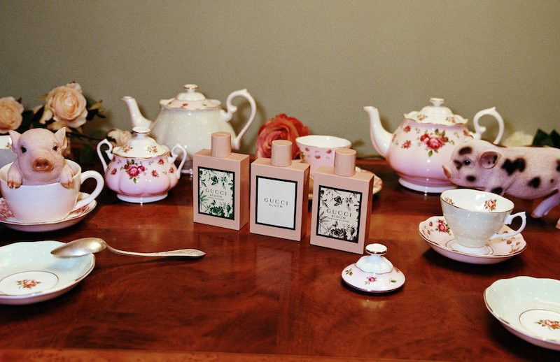 Ha te is úgy imádod a törpemalacokat, mint én, akkor visítani fogsz a Gucci új kampányától