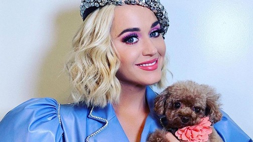 Elolvadsz: édes kutyusát sétáltatja Katy Perry egy babahordóban