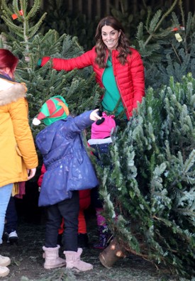 Katalin hercegné a karácsonyfa kiválasztásában is segít a gyerekeknek