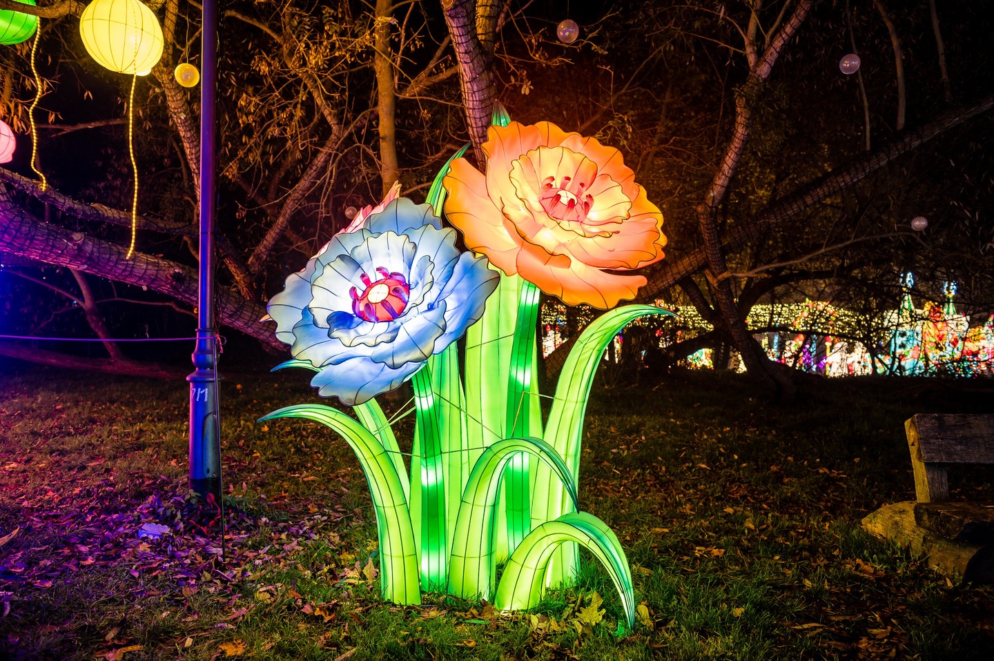 Alice Csodaországban elevenedik meg a Garden of Lights fényfiguráival a Füvészkertben