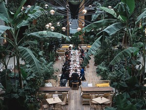 Őserdő nyílt a belvárosban: 500 növény között szürcsölheted el kedvenc koktélodat