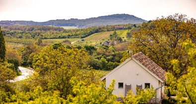 Sokak kedvence a Casa Christa Agriturismo - Exkluzív birtokká vált a balatoni szerelem présház