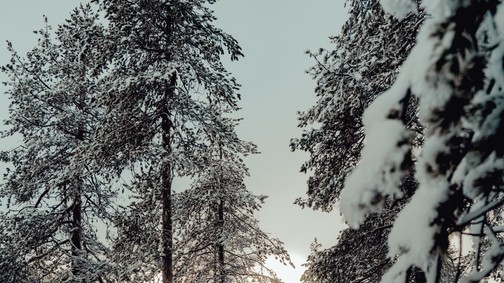 Ilyen az élet Lappföldön